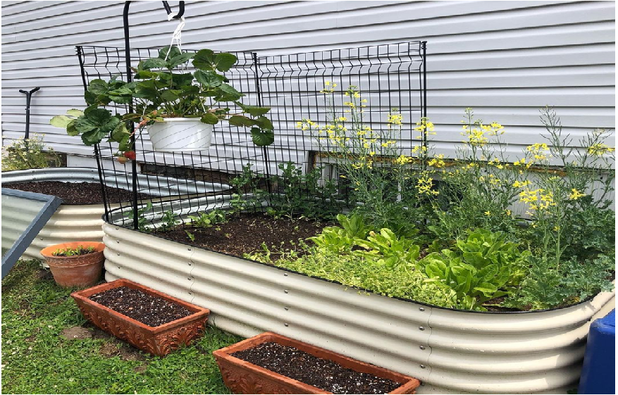 What Are The Benefits Of Raised Garden Beds?